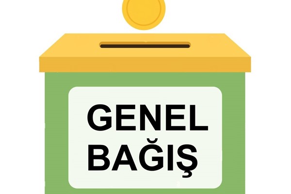 Genel Bağış